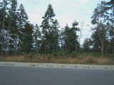 Nanoose Bay real estate property photo of MLS No. 319767 for sale