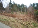 MLS # 319283: EASY ACCESS - LEVEL BUILDING LOT
