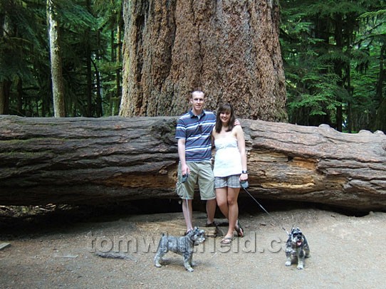 Photo of Cathedral Grove Visitors