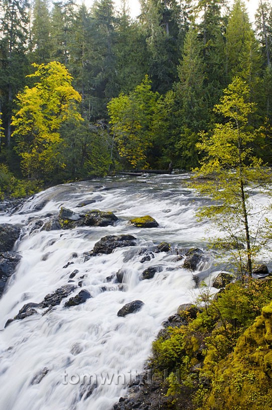 Photo of Little Qualicum River Falls