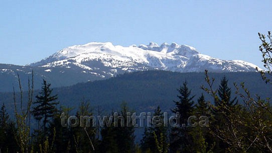 Photo of Mount Arrowsmith Backdrop