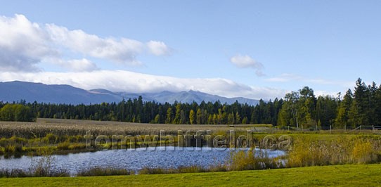 Photo of Rural Scenery