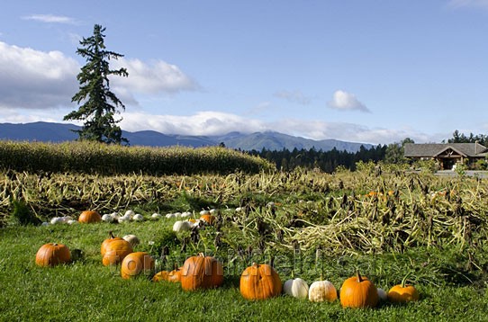 Photo of Working Farms