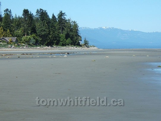 Photo of Eaglecrest Beach At Low Tide