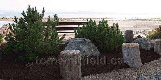 Photo of Eaglecrest Beach Below The Bluffs