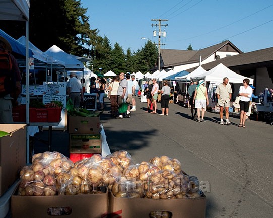 Photo of Farmer’s Market On Saturday Morning