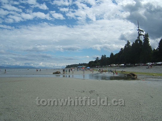 Photo of Low Tide Beach Day Event