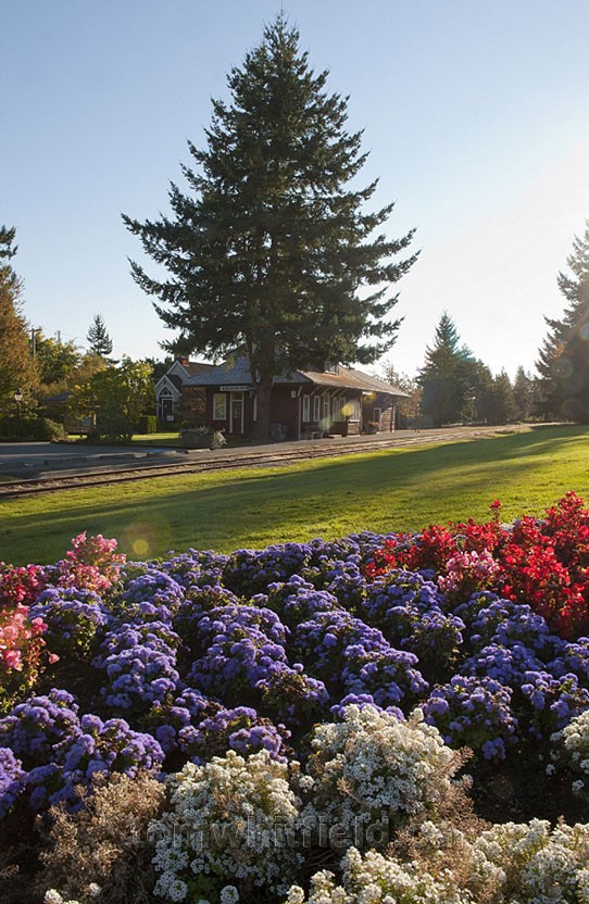 Photo of Picturesque Gardens Throughout Town