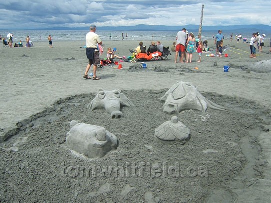 Photo of Sand Faces