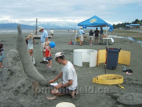 Photo of Seal Out Of Sand