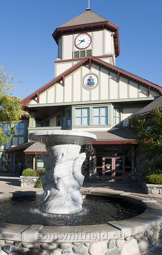 Photo of Town Hall And Library