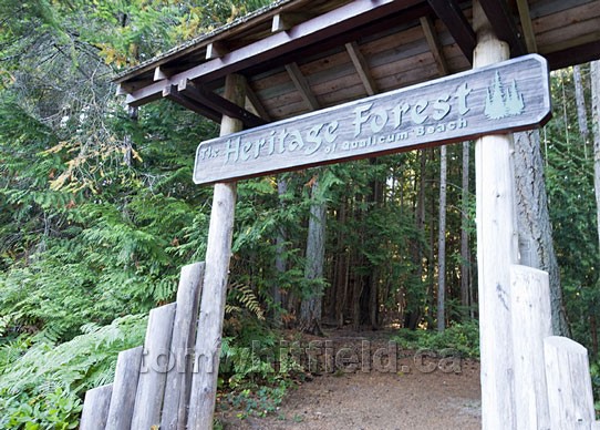 Photo of Welcome To The Heritage Forest