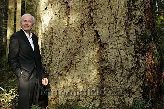 Tom Whitfield and a Huge Tree