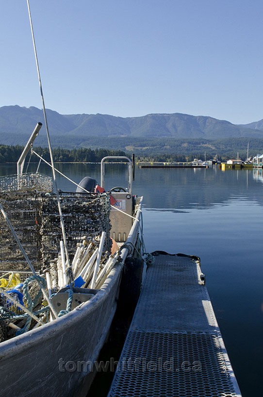 Photo of Crab Traps