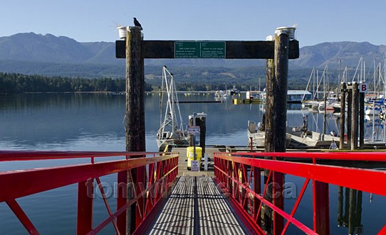 Photo of Deep Bay Marina 2