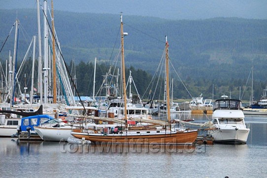 Photo of Sailboats Moored