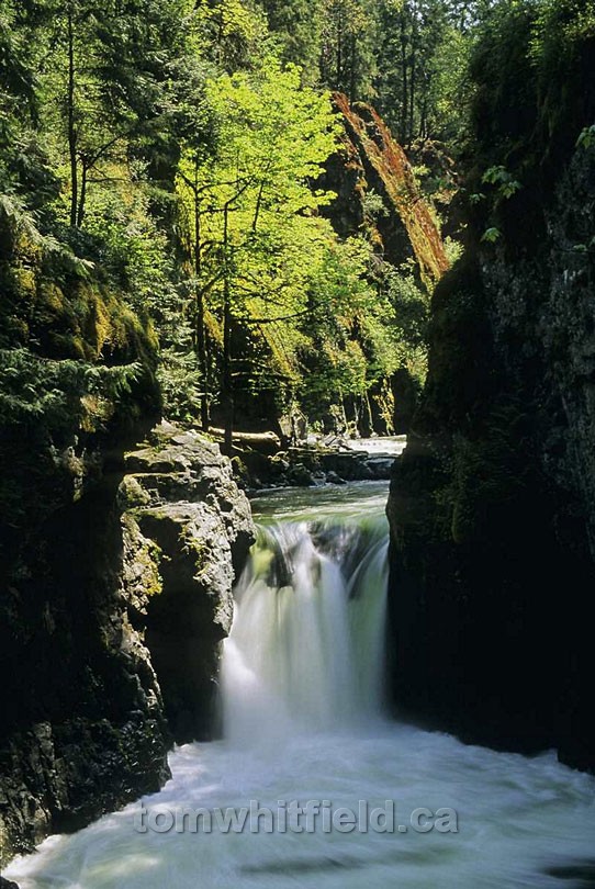 Photo of Englishman River Falls