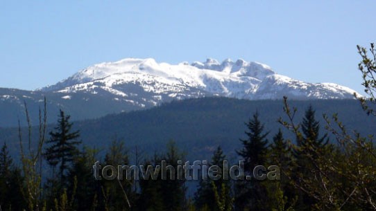 Photo of Mt. Arrowsmith