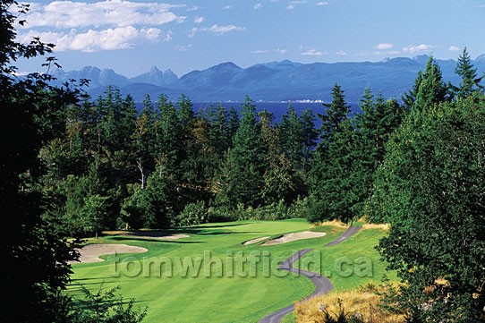 Photo of Golfer’s Paradise