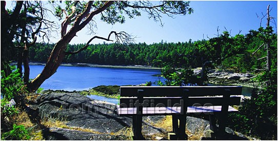 Photo of Tranquil Brickyard Bay Park