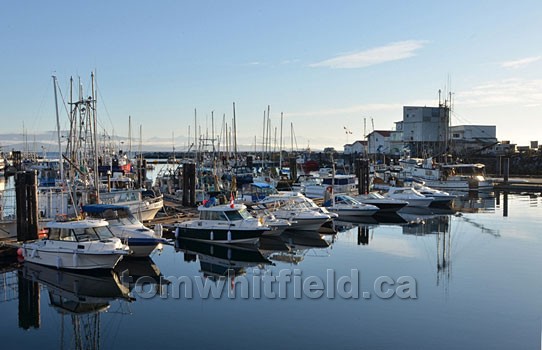 Photo of French Creek Fish Market