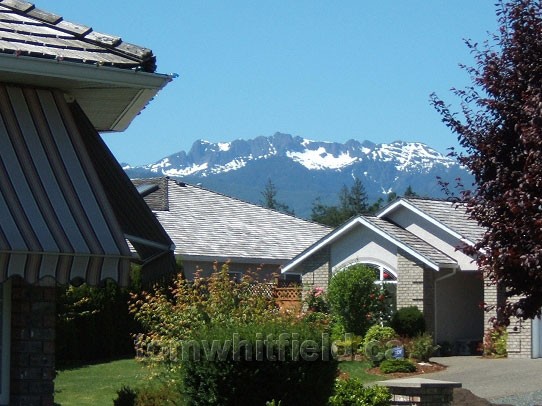 Photo of Mt. Arrowsmith, French Creek