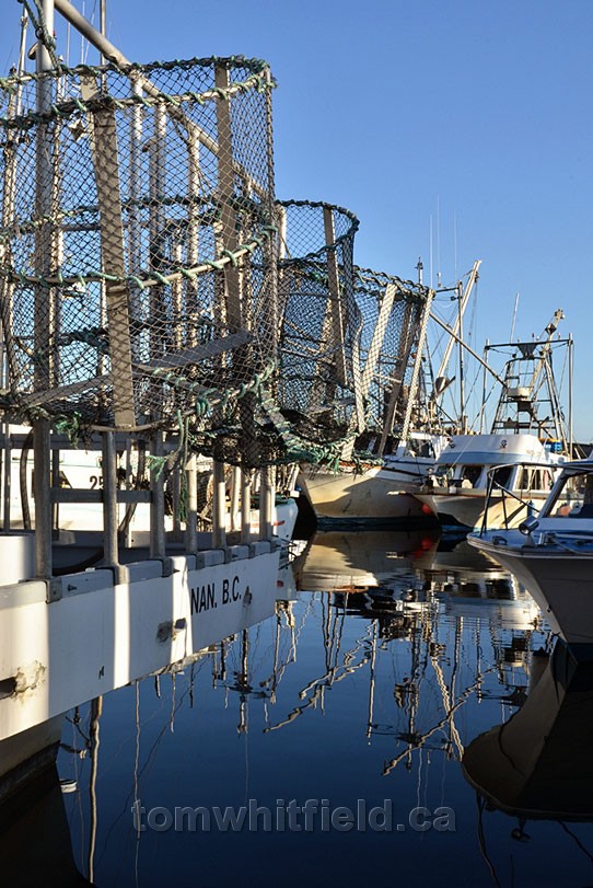 Photo of Prawn Traps