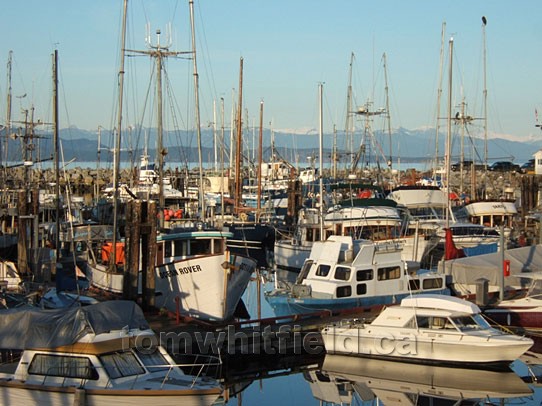 Photo of Working Harbour