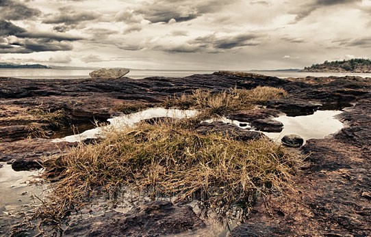 Photo of Beachcomber Marine Park