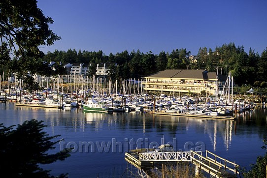 Photo of Fairwinds Marina