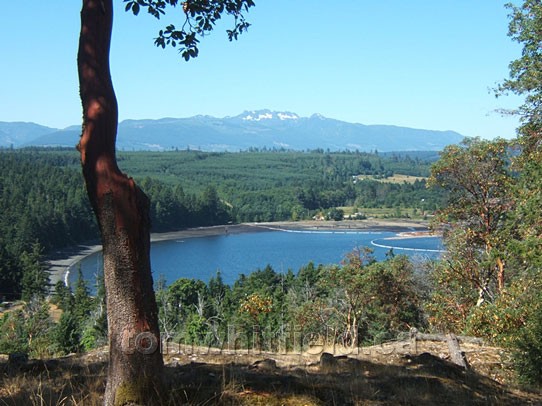 Photo of Looking Across Northwest Bay To Mount Arrowsmith