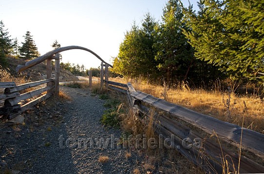 Photo of Prawn Trail To Moorecroft