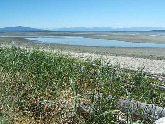 Photo of Rathtrevor Beach