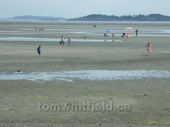 Photo of World Class Rathtrevor Beach At Low Tide