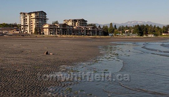 Photo of Beach Club Resort