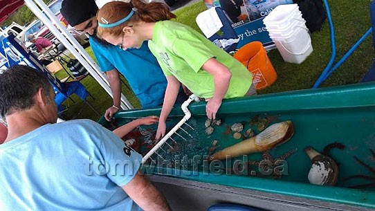 Photo of  VIU Touch Pool