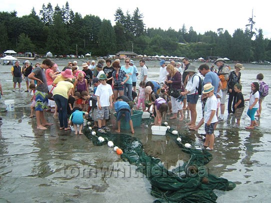 Photo of Beach Seining