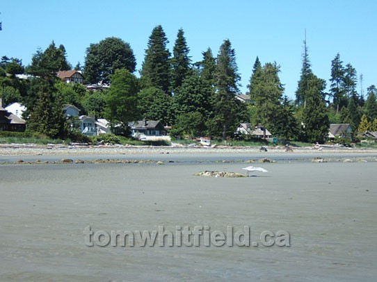 Photo of Eaglecrest Beach At Low Tide