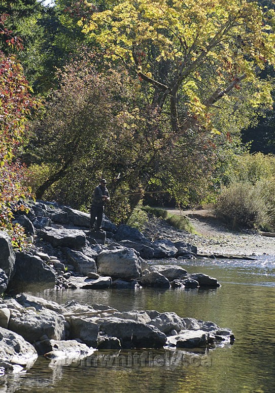 Photo of Hopeful Fly Fisherman