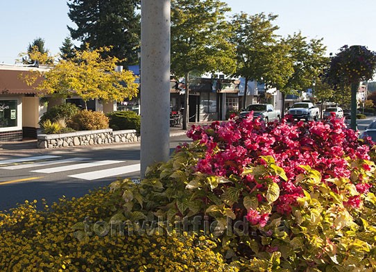 Photo of Qualicum Beach Bloomin’