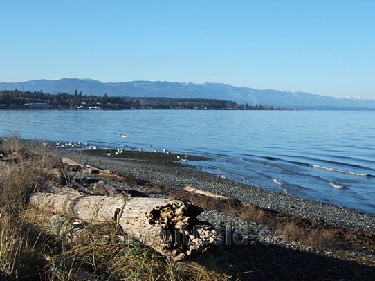 Photo of Qualicum Beach In January