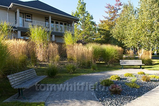 Photo of Qualicum Beach Walking Friendly Pathways