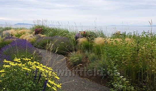 Photo of Qualicum Beach Waterfront Garden Bliss