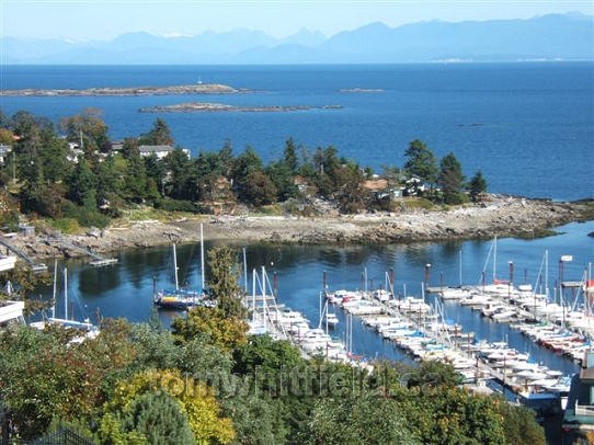 Photo of Schooner Cove Marina in Fairwinds